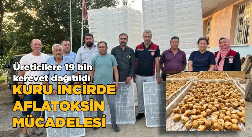 Üreticilere 19 bin kerevet dağıtıldı  Kuru incirde aflatoksin mücadelesi