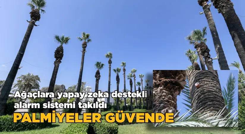 Kültürpark’ın palmiyeleri güvende