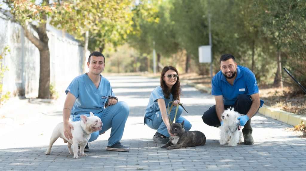 Bakımevi’ne alındılar; Bir evde 20 cins köpek!