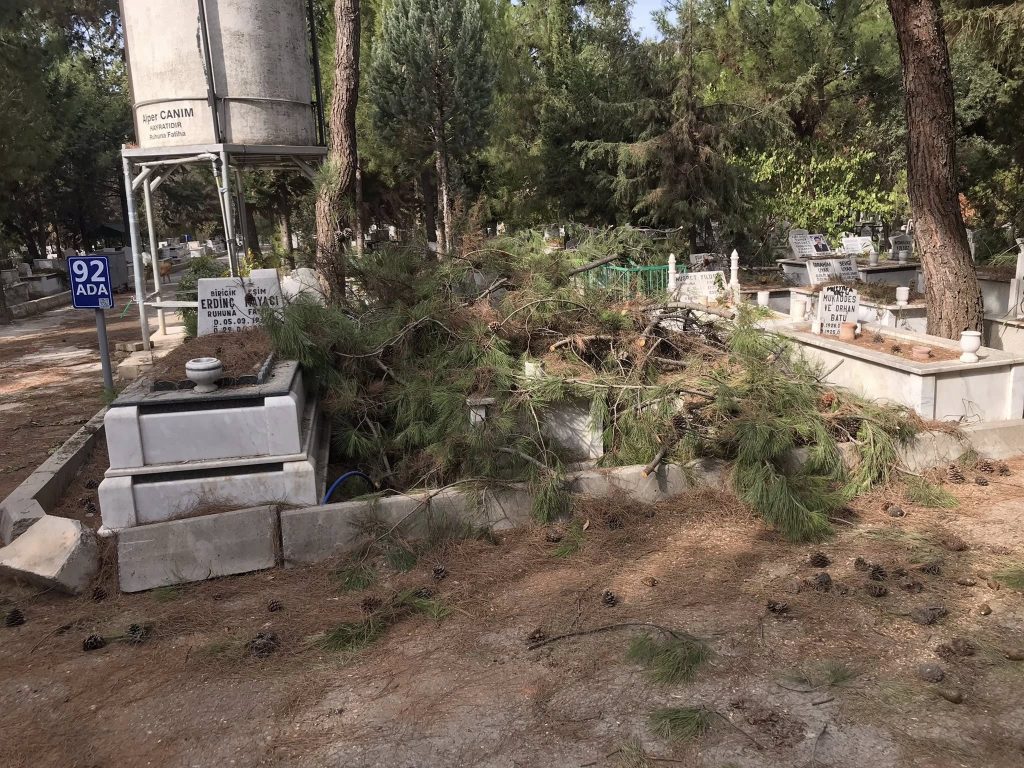 Buca Kaynaklar Mezarlığı’nda Ağaç Budama Tepkisi: Kabirlere Zarar Verildi