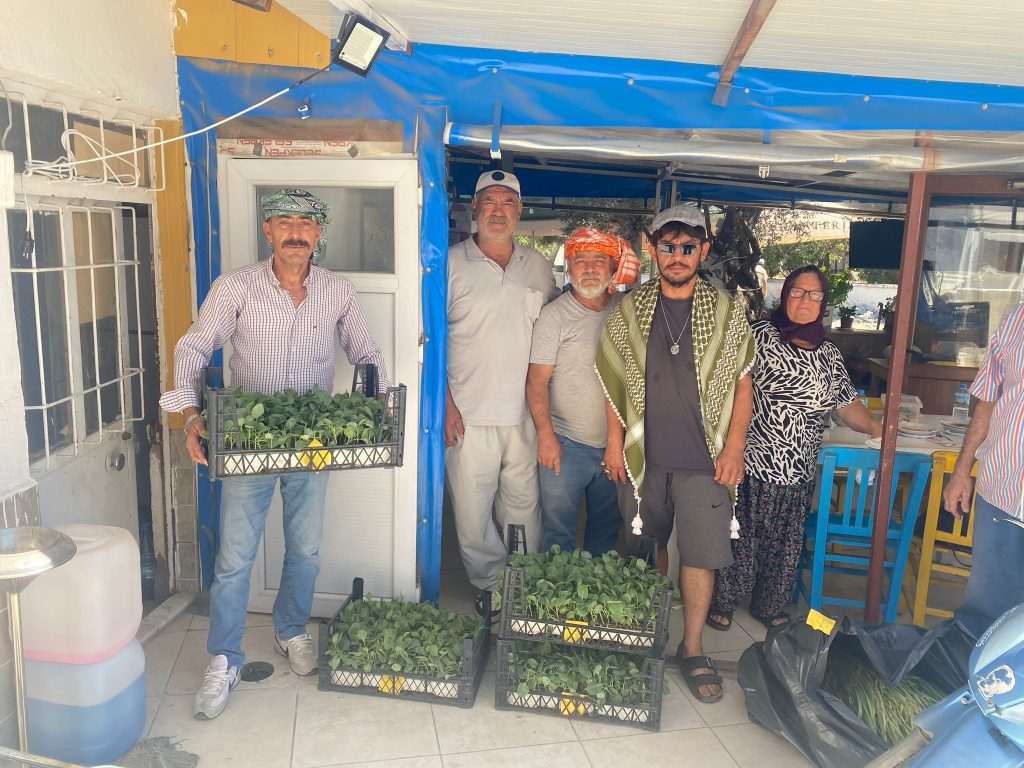 Urla’da üreticiye 50 bin adet sebze fidesi
