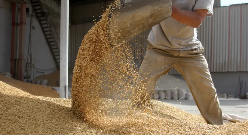 Türkiye, Küresel Gıda Fuarcılığında Liderliğe Yürüyor