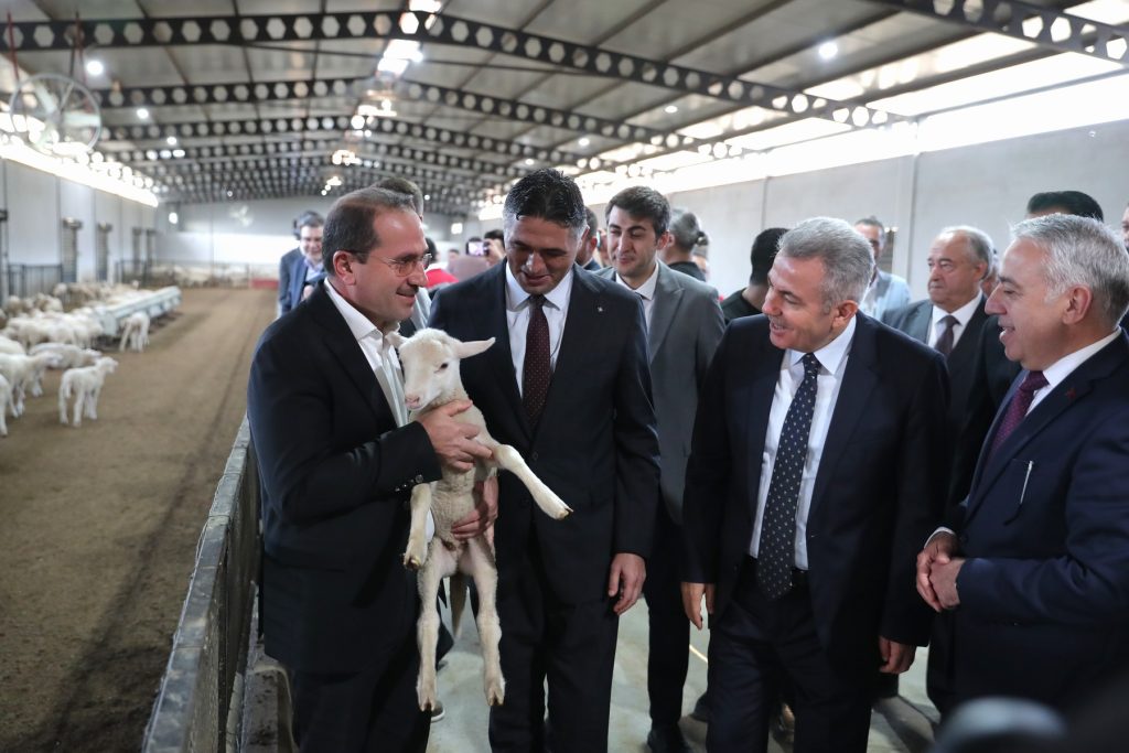 Aliağa Belediyesi 110 Üreticiye 210 Küçükbaş Hayvan Teslim Etti