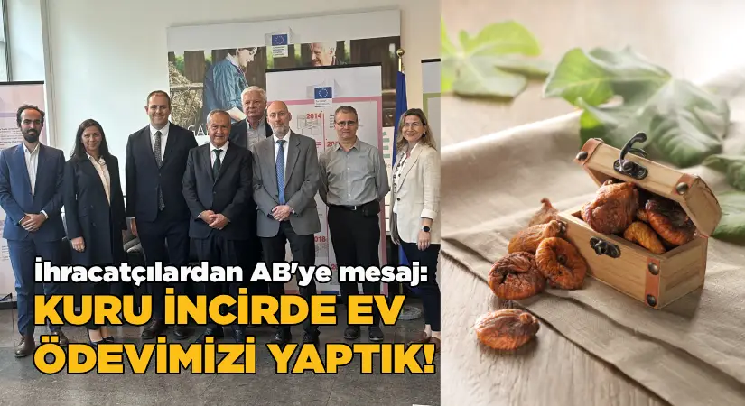 İhracatçılardan AB’ye mesaj: Kuru incirde ev ödevimizi yapıyoruz