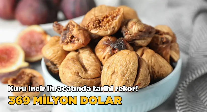 Kuru incirde ihracatında 369 milyon dolarlık tarihi rekor