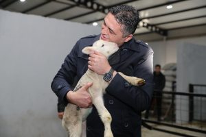 Aliağa’da Hibeli Koyun ve Koçlar Üreticilere Teslim Edildi