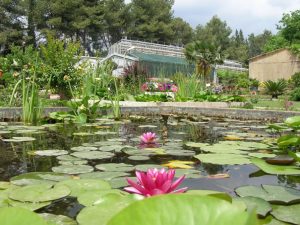 EÜ, 3 bin endemik bitkiye ev sahipliği yapıyor!