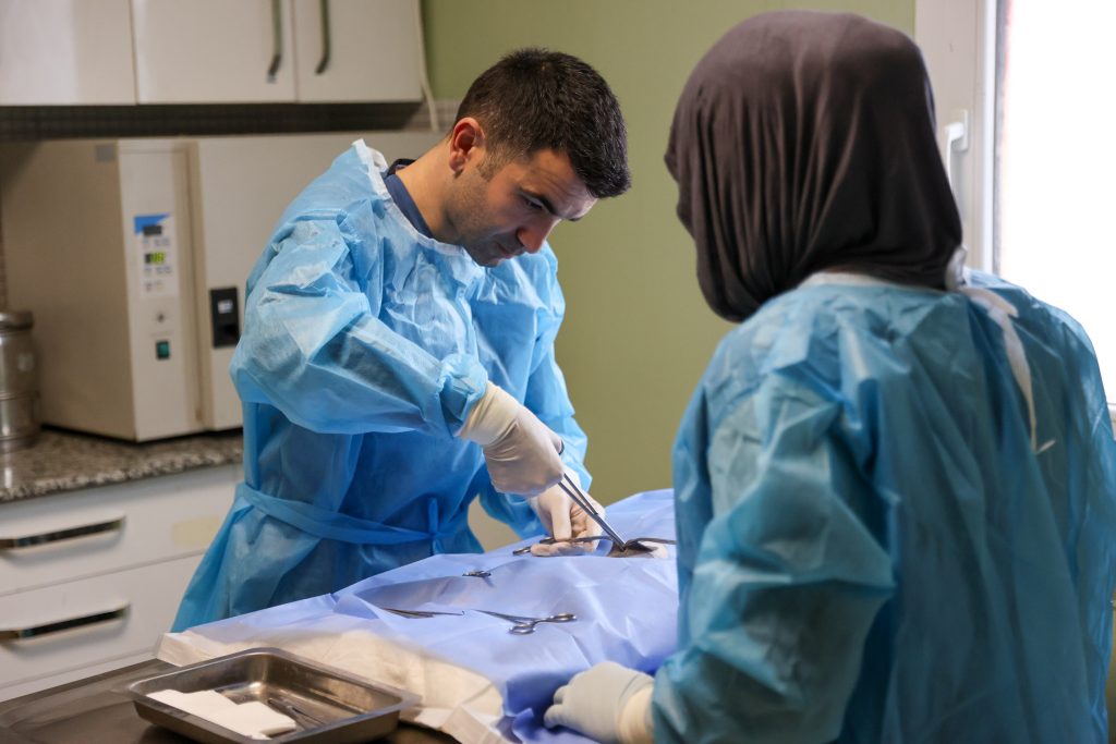 Buca’da 3 bin 54 sokak kedisi kısırlaştırıldı