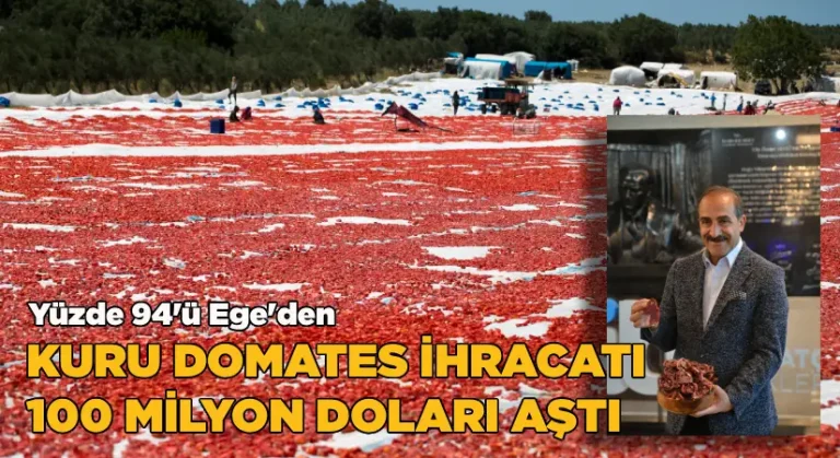 Kuru domates ihracatı 100 milyon doları aştı