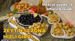 Sofralık zeytin ihracatı yeni sezona yüzde 13’lük artışla girdi
