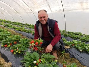 Kış çileği 200 TL!