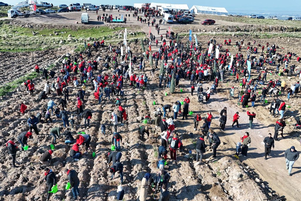 Menemen Belediyesi binlerce fidan dikti