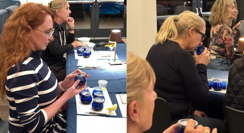 Amerikalılar Türk zeytinyağıyla tanıştı