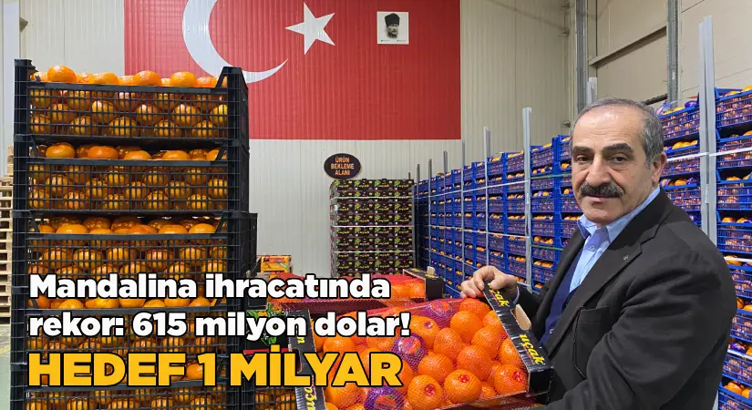 Mandalina ihracatında rekor: 615 milyon dolar-Hedef 1 milyar dolar