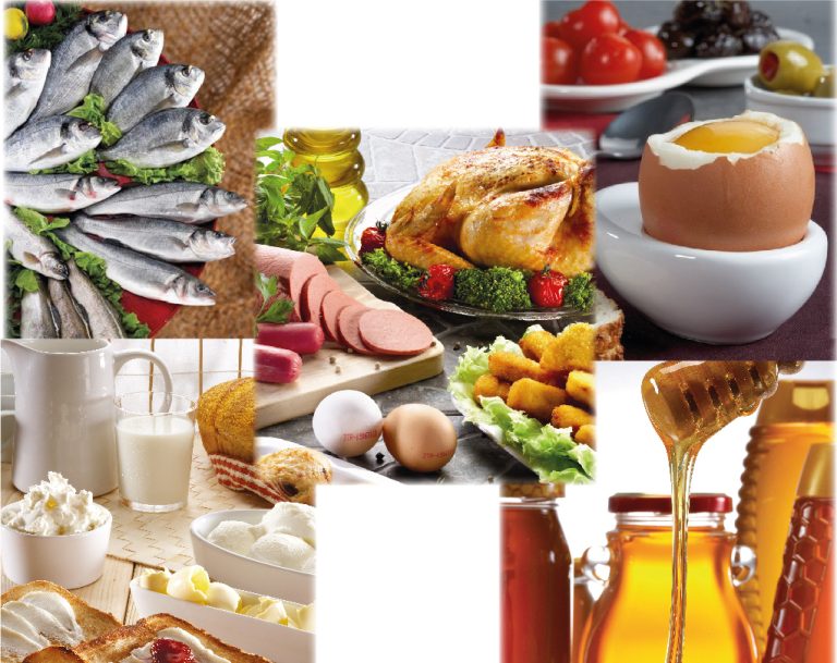 Türkiye su ürünleri ve hayvansal mamuller sektörü ihracatta 4 milyar doları aştı