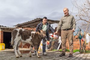 Çiftçiye buzağı kiti ve dezenfektan desteği