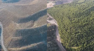 Maden Sahaları Rehabilitasyonla Yeniden Yeşeriyor