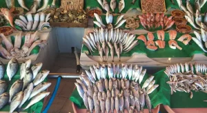 Türkiye’nin balık ihracatı 2026 yılına rekorla girdi