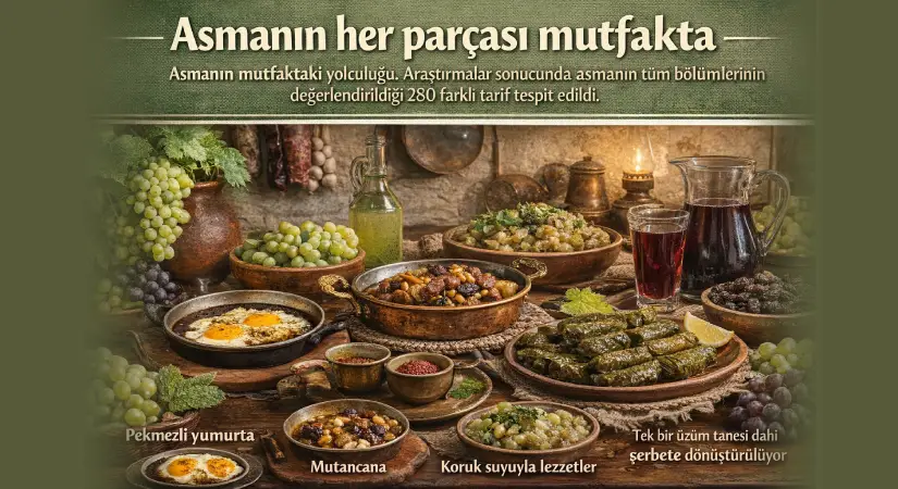 Asmanın filizinden çekirdeğine lezzet üretiliyor