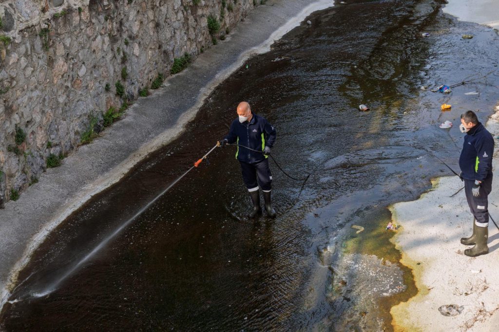 “Mevsimsel sinekler zararsız”