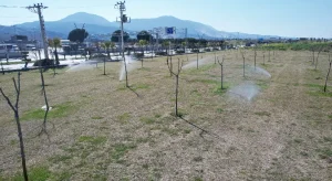 Manisa’da Yeşil Alanlarda Akıllı Sulama Dönemi Başladı