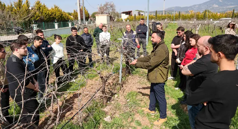 Buca’nın Azalan Üzüm Bağları Geleceğin Ziraatçılarına Uygulama Sahası Oldu