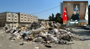 İzmirli Mobilyacılar Kendi Çözümünü Üretti: Sanayi Atıklarına Ücretsiz Bertaraf Dönemi