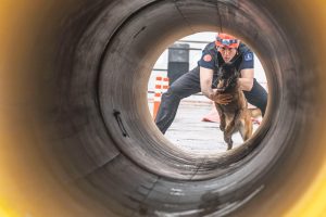 Barınaktaki kafesten enkazdaki canlara