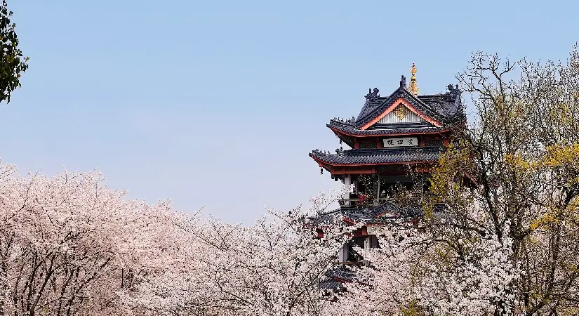 Kadraj yarışmasının en fazla ödülü Çin’e gitti