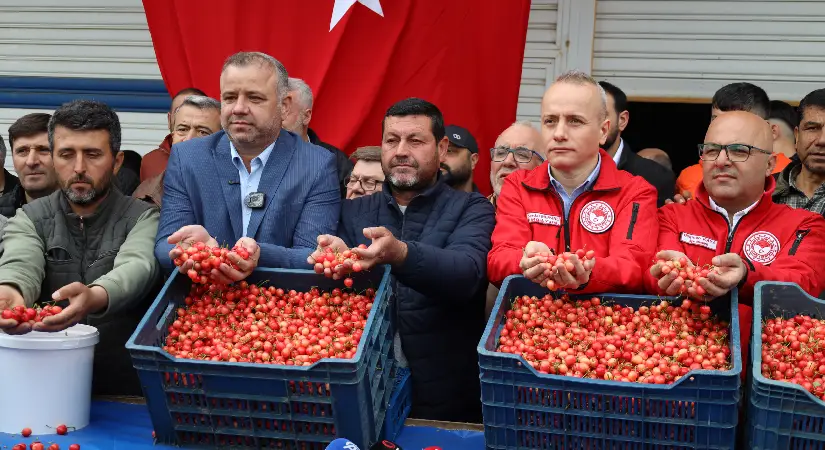 Kiraz Hasreti Sona Eriyor: İhracatçılar 200 Milyon Dolar Hedefiyle Sezona Girdi