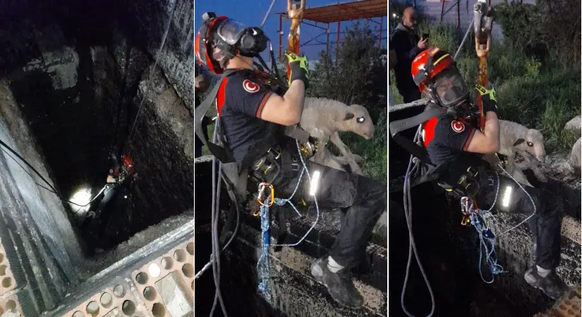 Kuyuya düşen kuzuya itfaiyeden nefes kesen kurtarma