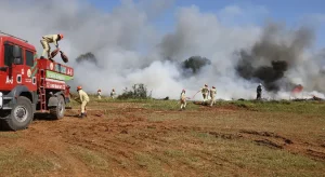 İzmir’de Yangın Sezonu Öncesi Kritik Tatbikat: Ekipler Sahada Test Edildi