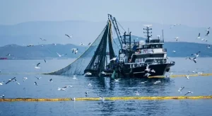 Denizlerde Av Yasağı 15 Nisan’da Başlıyor