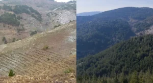 Bergama Madra Dağı 20 yılda bu hale geldi!      