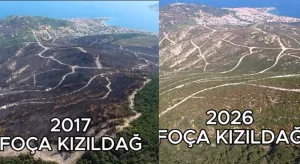 Foça Kızıldağ Yeniden Yeşerdi