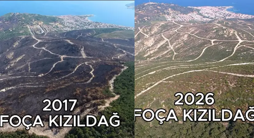 Foça Kızıldağ Yeniden Yeşerdi