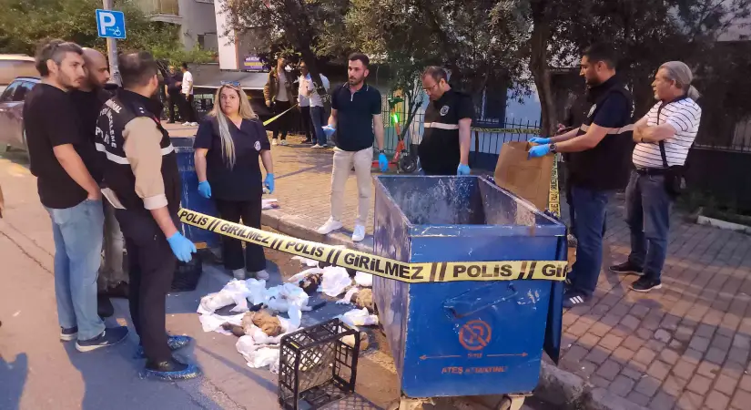 Ölü Kediler Soruşturmasında Savcılıktan Tahliye Kararına İtiraz