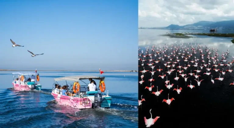 Flamingo Yolu turları bayramda da devam ediyor
