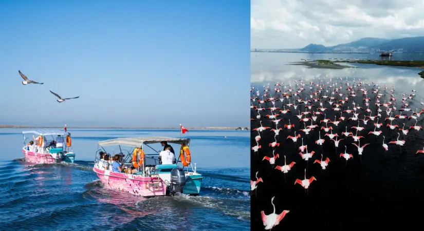 Flamingo Yolu turları bayramda da devam ediyor