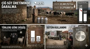 Çiğ Süt Üretiminde Sert Düşüş: 2025 Yılında Üretim Yüzde 4,9 Geriledi