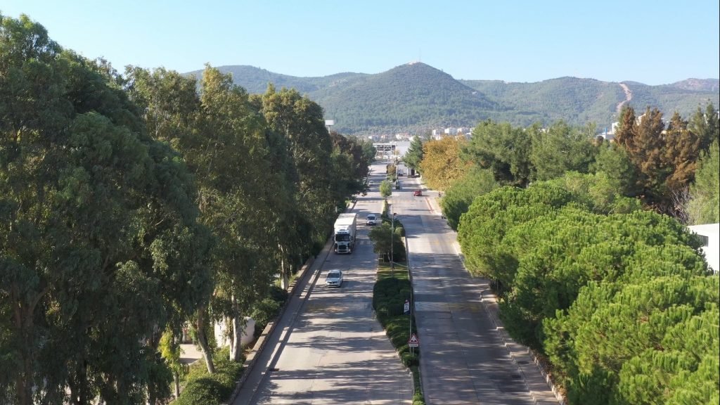 ESBAŞ, çevreci yatırımlarla 2025 yılında 8 bin ağaç kurtardı  