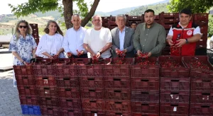 Coğrafi işaretli Salihli Kirazı kalite denetiminden geçti