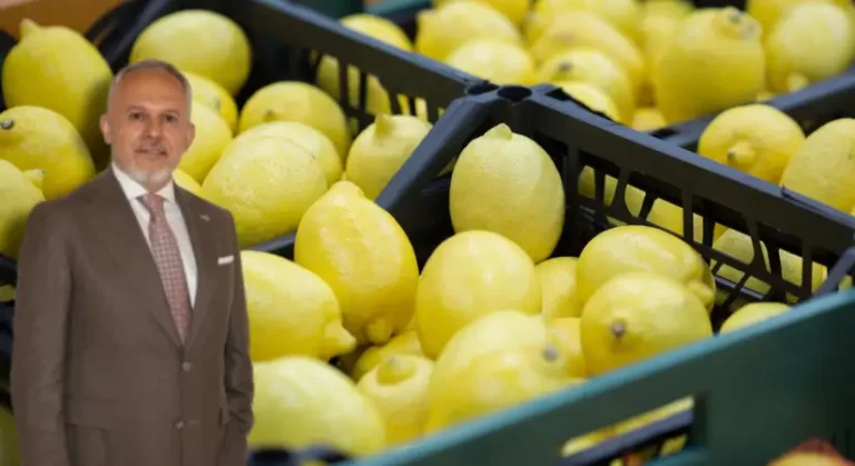 Limon ihracatında hedef 500 milyon dolar