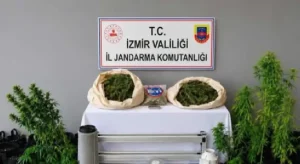 İzmir dahil 45 İlde “Narko Pars” Operasyonu!