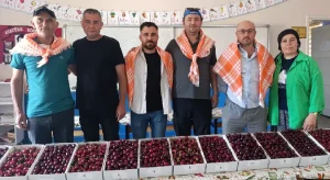 Börez Kirazı Türkiye’ye adını duyurmak istiyor