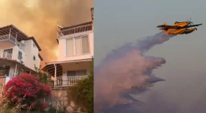 Korkutan Dikili yangını kontrol altına alındı