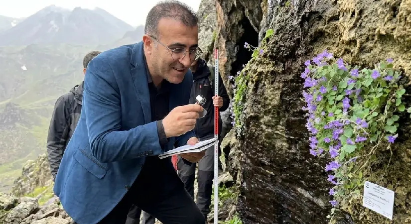 Bitlis’te Bilim Dünyasını Şaşırtan Keşif: Yeni Tür “Porçanı”