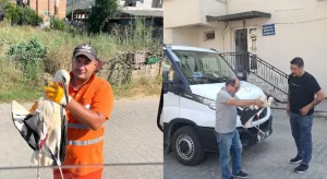 Temizlik görevlisinin bulduğu yaralı leylek tedavi altına alındı