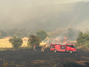 Foça’da orman yangını kontrol altına alındı