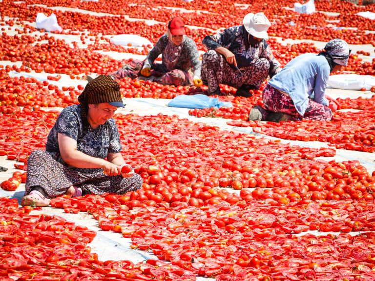 Torbalı’da ‘Kırmızı Altın’ mesaisi!